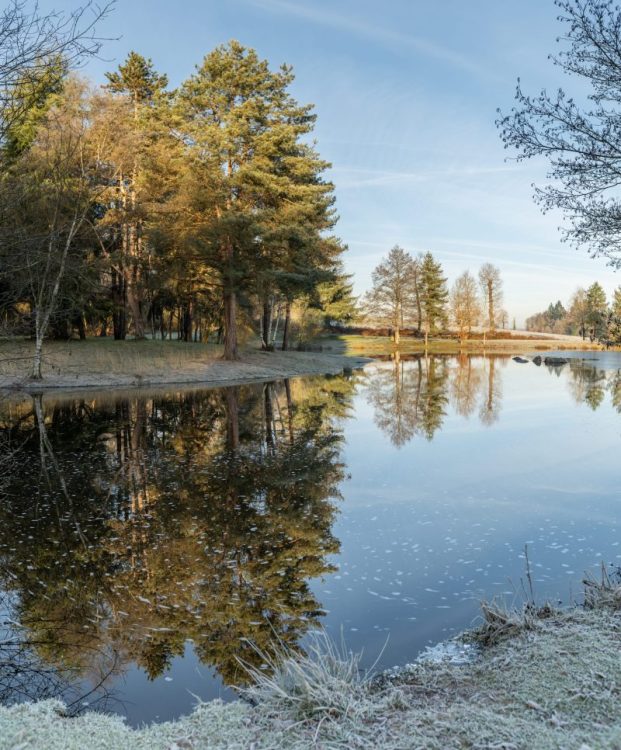 Etang de la Marette ©Myriam Busson